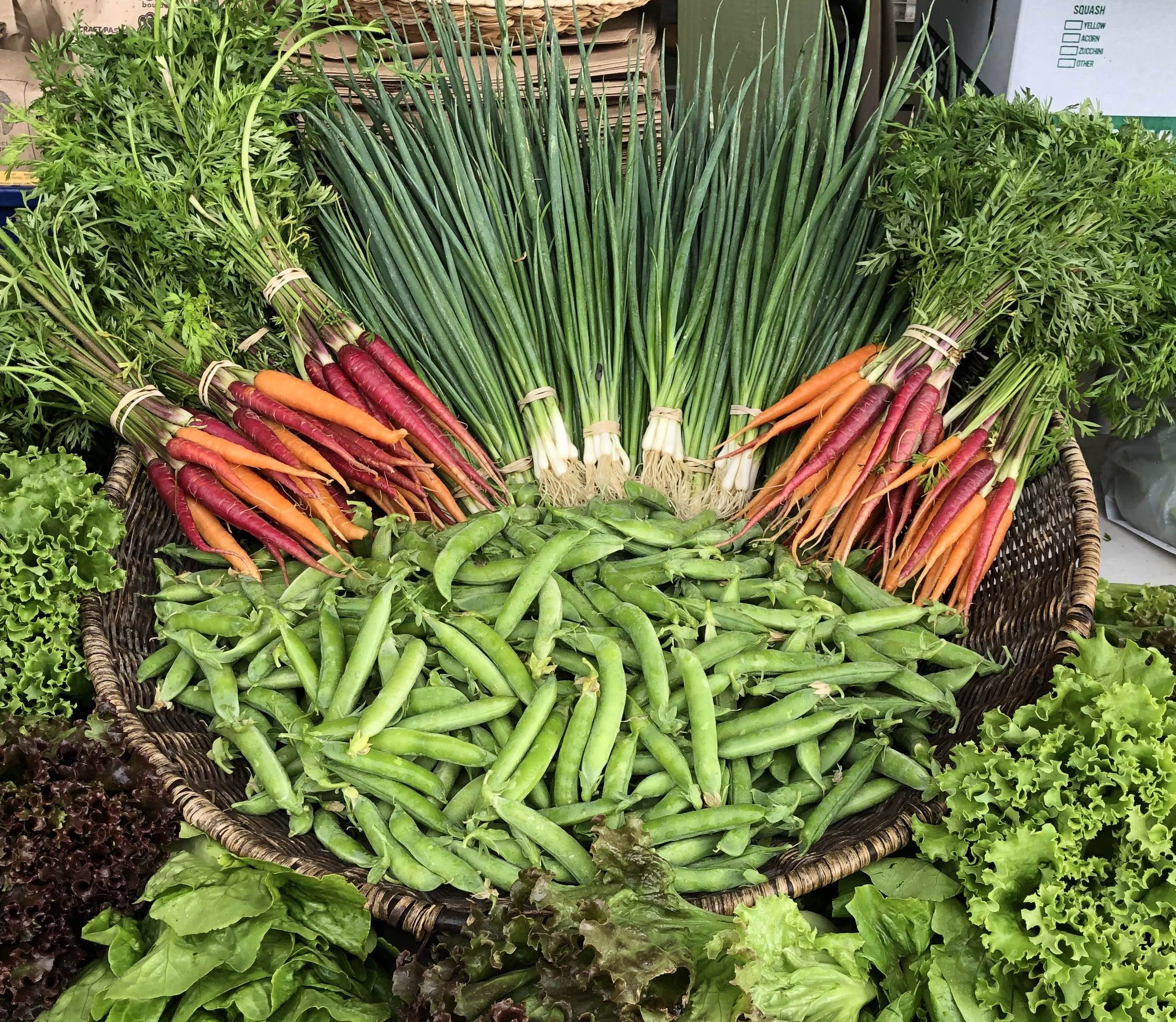 フルーツ・果実 MASA Vegetables and Fruits – MASA Seed Foundation