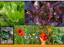 Load image into Gallery viewer, 2025 MASA CSA Fresh Produce and Flower Shares