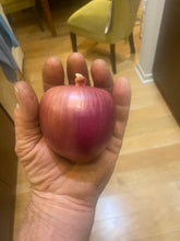 Load image into Gallery viewer, Onion - Rossa Milano