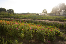 Load image into Gallery viewer, 2025 MASA CSA Fresh Produce and Flower Shares
