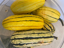 Load image into Gallery viewer, Harvest Box