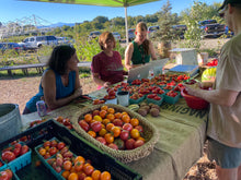 Load image into Gallery viewer, 2025 MASA CSA Fresh Produce and Flower Shares