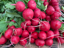 Load image into Gallery viewer, Harvest Box