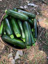 Load image into Gallery viewer, Squash - Dark Star Zucchini