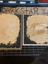 Load image into Gallery viewer, Squash - Dark Star Zucchini