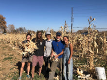 Load image into Gallery viewer, Corn - Oaxacan Green Tamale Corn
