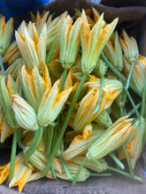 Load image into Gallery viewer, Squash - Dark Star Zucchini