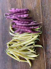 Load image into Gallery viewer, Snap Bean - Indy Gold Yellow