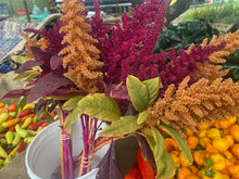 Load image into Gallery viewer, 2025 Front Range Gardeners Seed Set  ~ The Backyard Gardener Collection