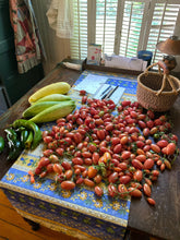 Load image into Gallery viewer, Tomato - Maglia Rosa
