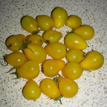 Load image into Gallery viewer, Tomato - Beam's Yellow Pear