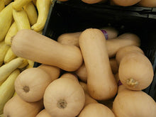 Load image into Gallery viewer, Squash -  Waltham Butternut