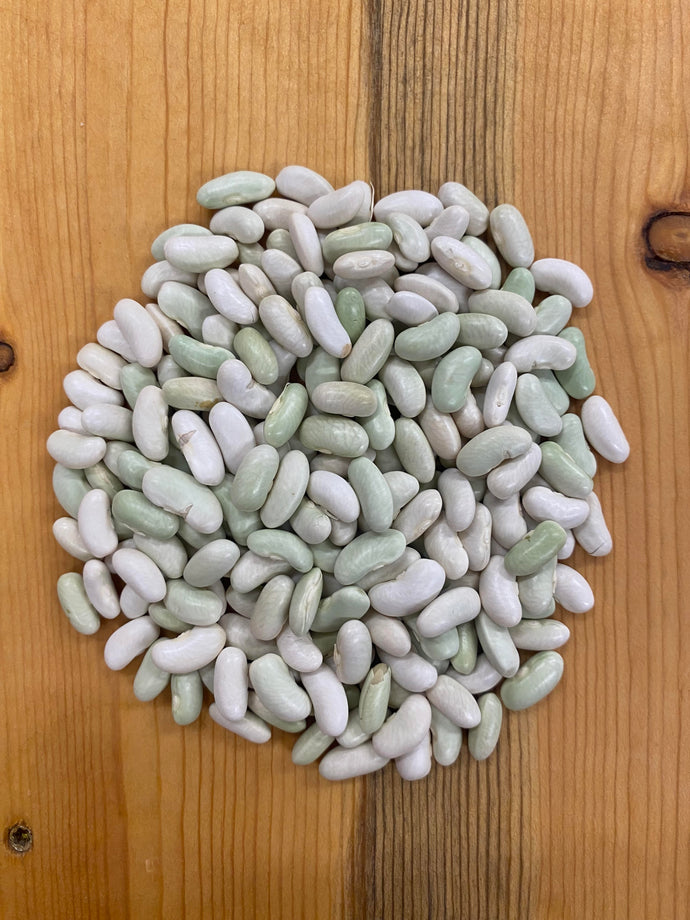 Snap Bean  / Dry Bean - Flagiolet