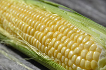 Load image into Gallery viewer, Corn - Golden Beauty