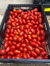 Load image into Gallery viewer, Tomato - Gila Roma Paste