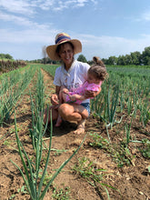 Load image into Gallery viewer, Onion - Valencia
