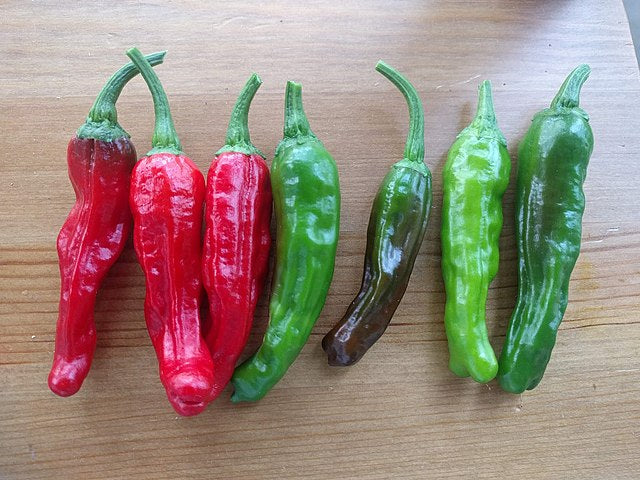 Pepper
