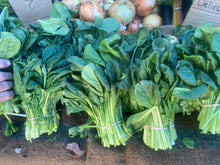 Load image into Gallery viewer, Tatsoi - Dark Green Leafy Tatsoi