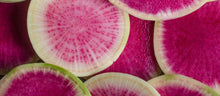 Load image into Gallery viewer, Radish - Watermelon