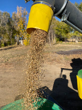 Load image into Gallery viewer, Herbs - Calendula / Alpha
