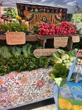 Load image into Gallery viewer, 2026 MASA CSA Fresh Produce and Flower Shares
