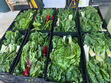 Load image into Gallery viewer, 2026 MASA CSA Fresh Produce and Flower Shares
