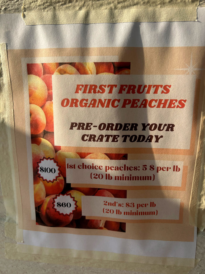 Peaches