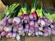 Load image into Gallery viewer, Harvest Box
