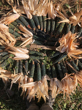 Load image into Gallery viewer, Corn - Oaxacan Green Tamale Corn
