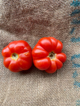 Load image into Gallery viewer, Tomato -  Costaluto Genovese
