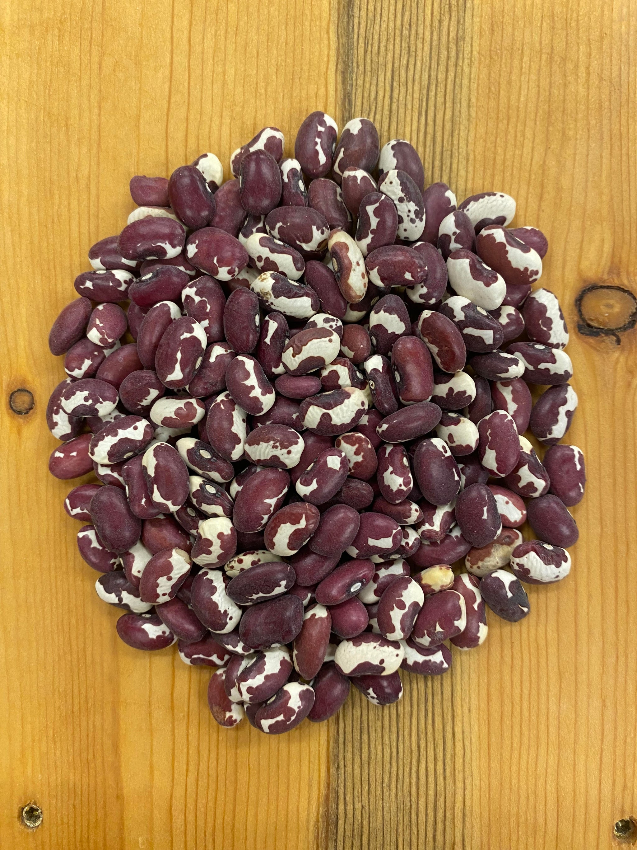 Vegetables and Fruits – MASA Seed Foundation