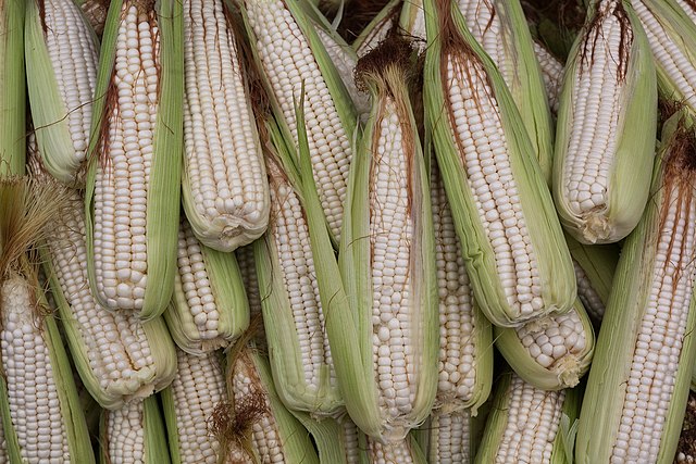 Corn - Concha White Posole