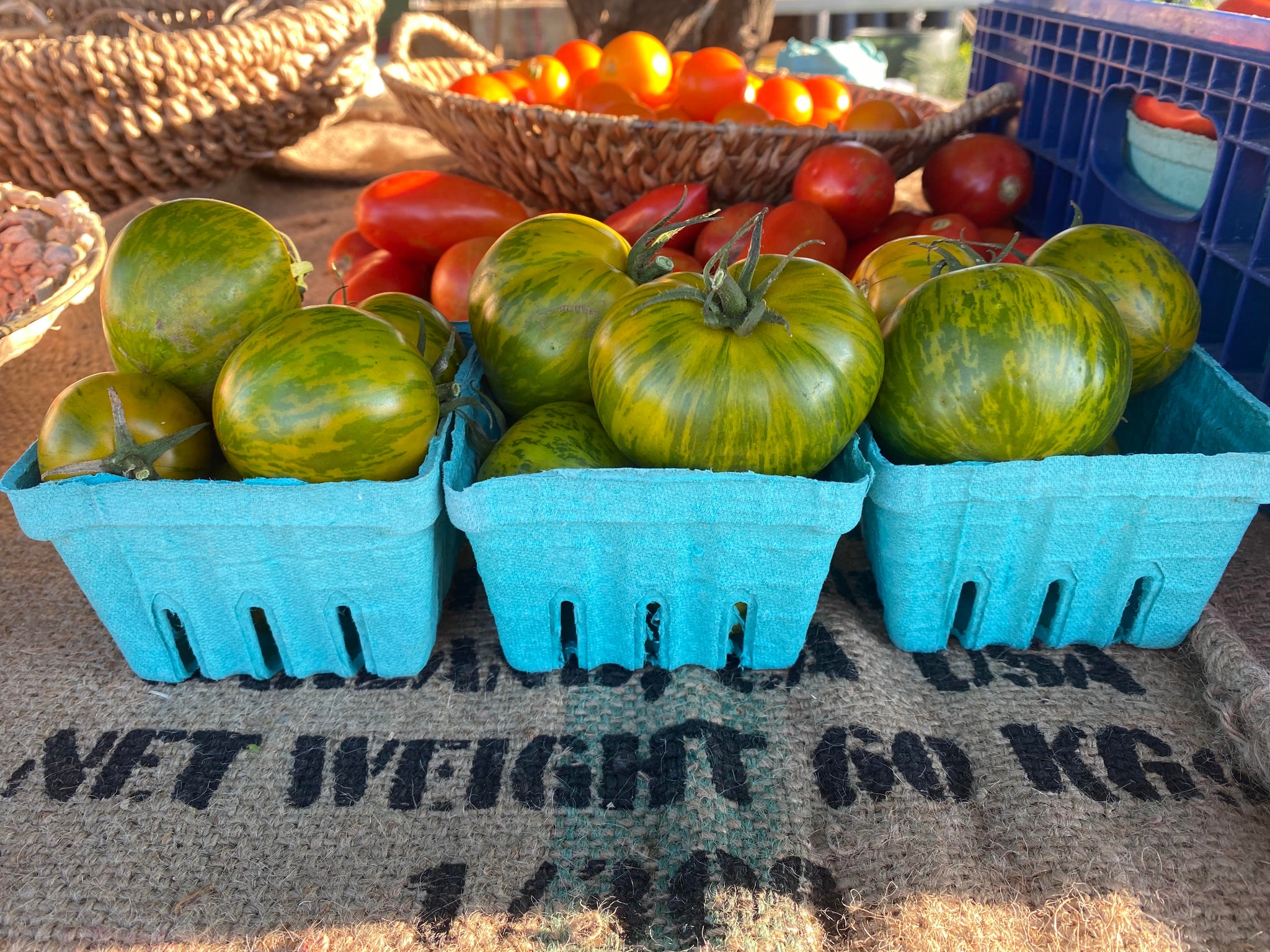 野菜 masa Vegetables and Fruits – Tagged 