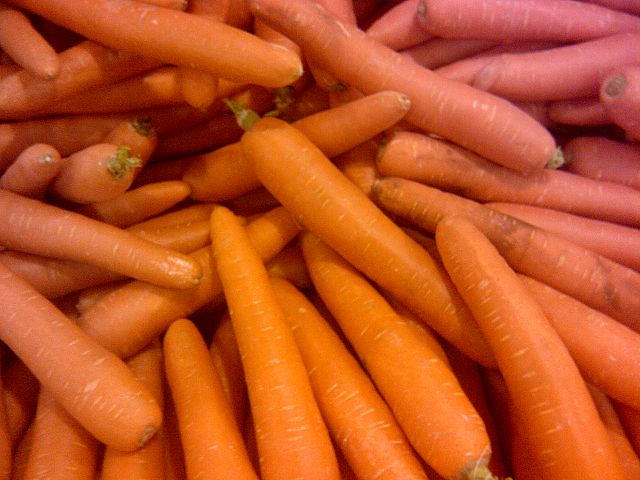 Carrot - Rodelika