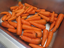 Load image into Gallery viewer, Carrot, Scarlet Nantes
