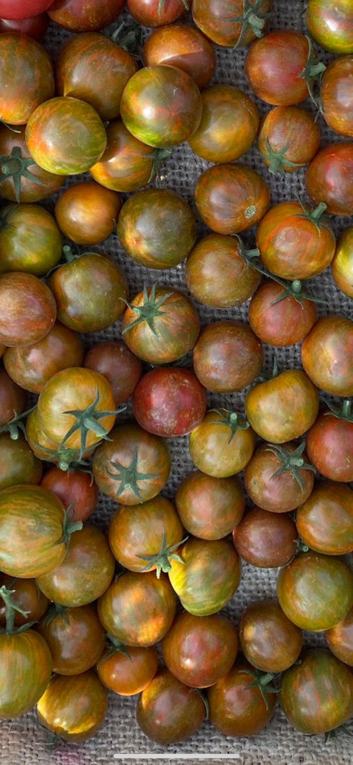 Tomato - Spike Heirloom Cherry