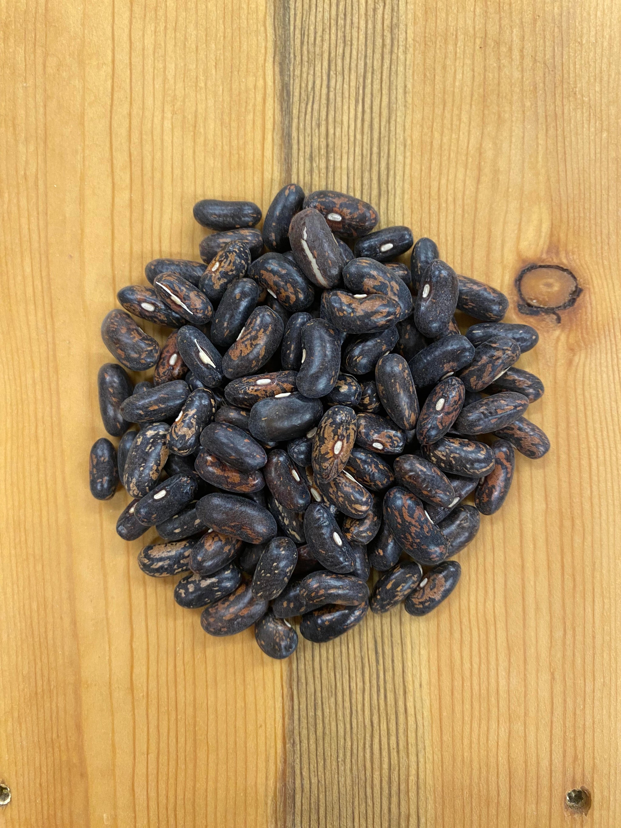 Products – Page 6 – MASA Seed Foundation