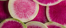 Load image into Gallery viewer, Radish - Watermelon

